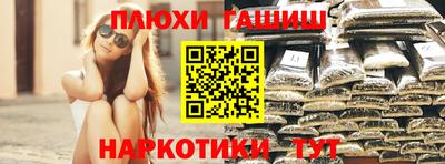крисы Краснодар