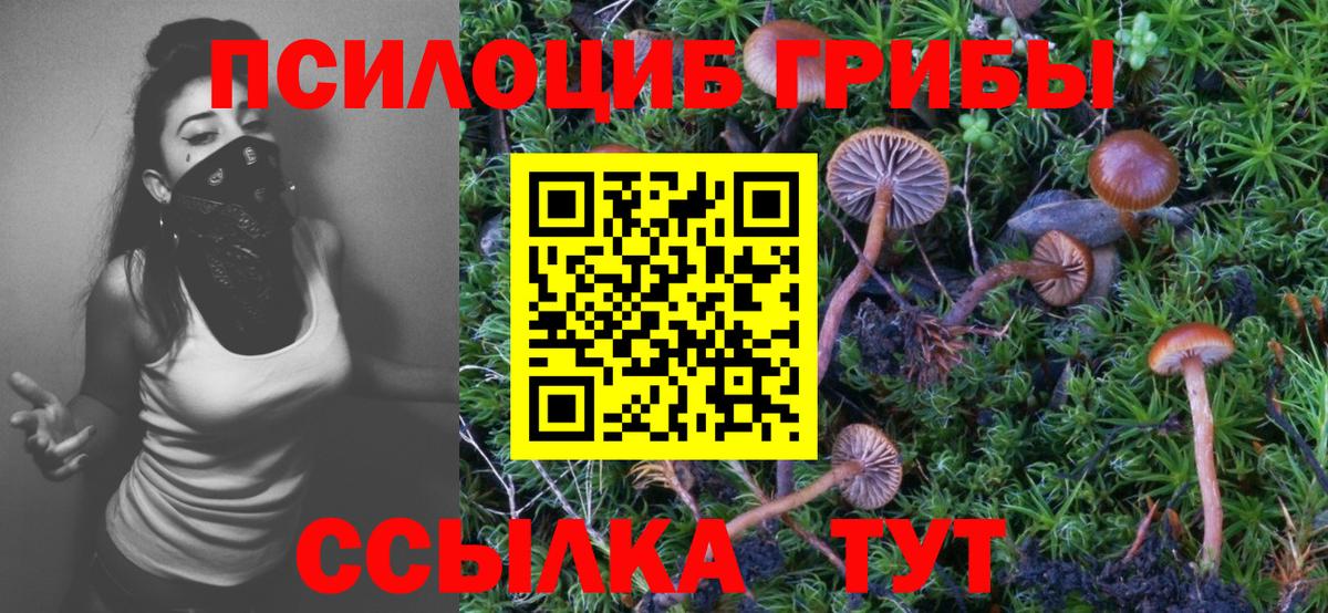 Псилоцибиновые грибы прущие грибы Лангепас