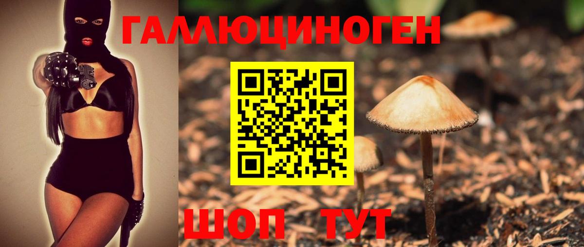Галлюциногенные грибы Psilocybe  наркошоп  Лангепас  Вход с VPN 